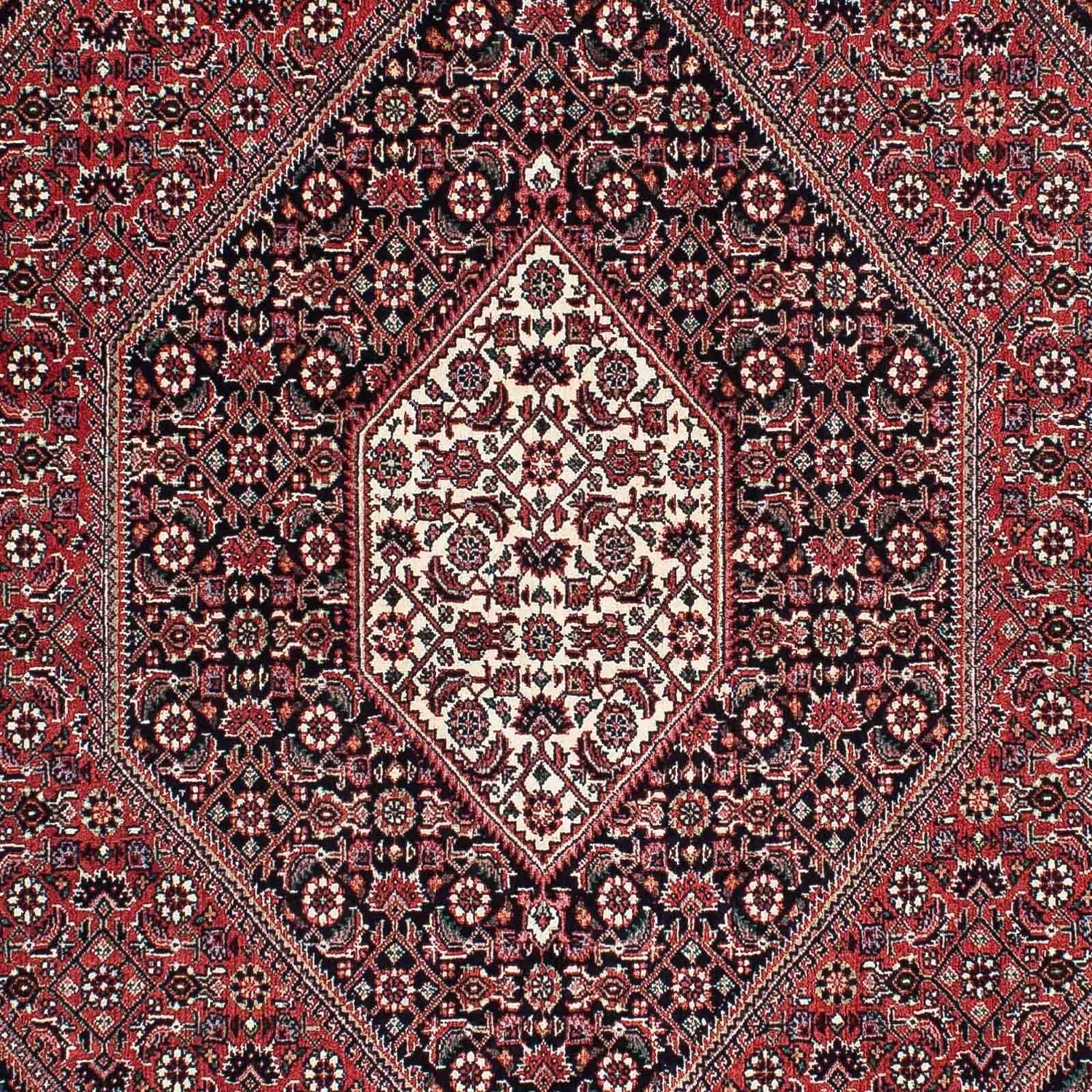 Perserteppich - Bidjar - Royal 210 x 132 cm