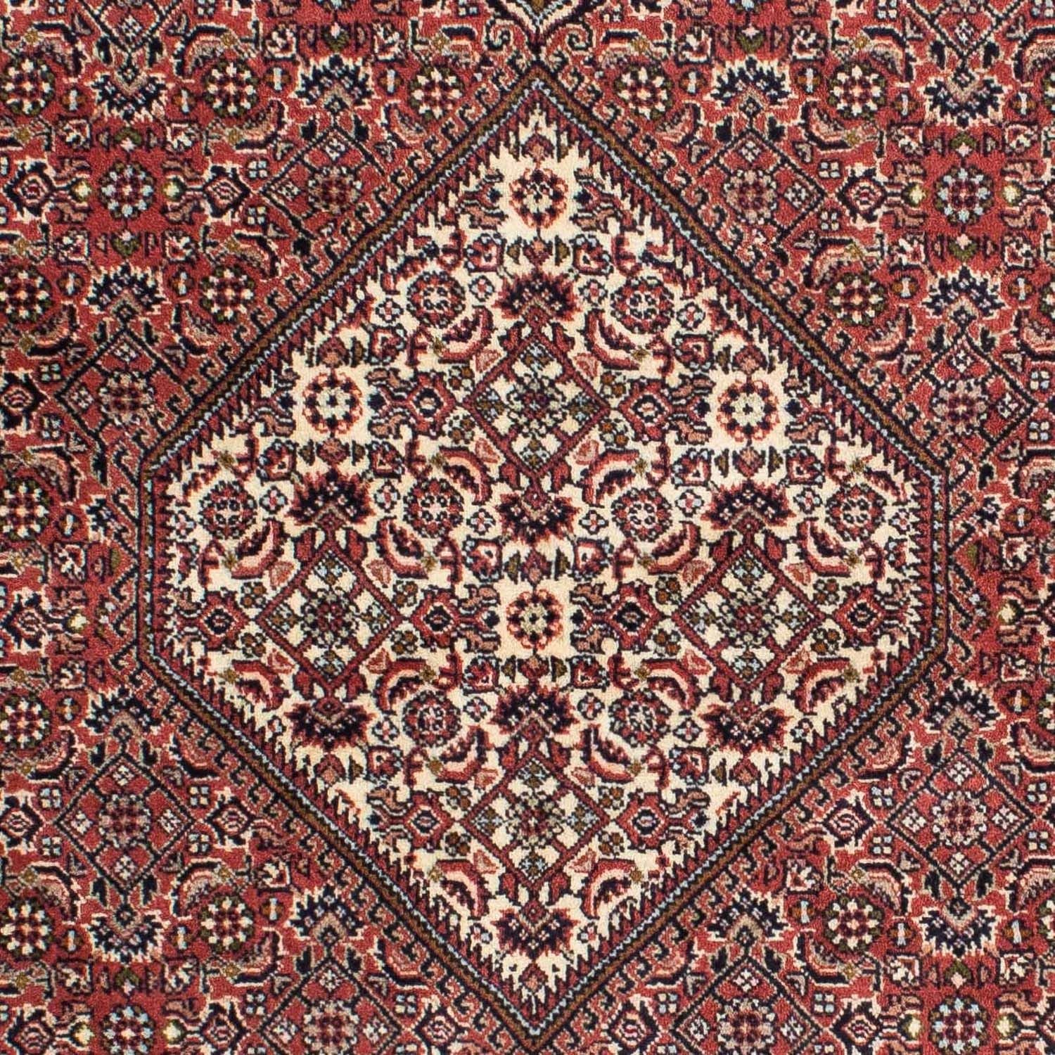 Perserteppich - Bidjar 225 x 143 cm