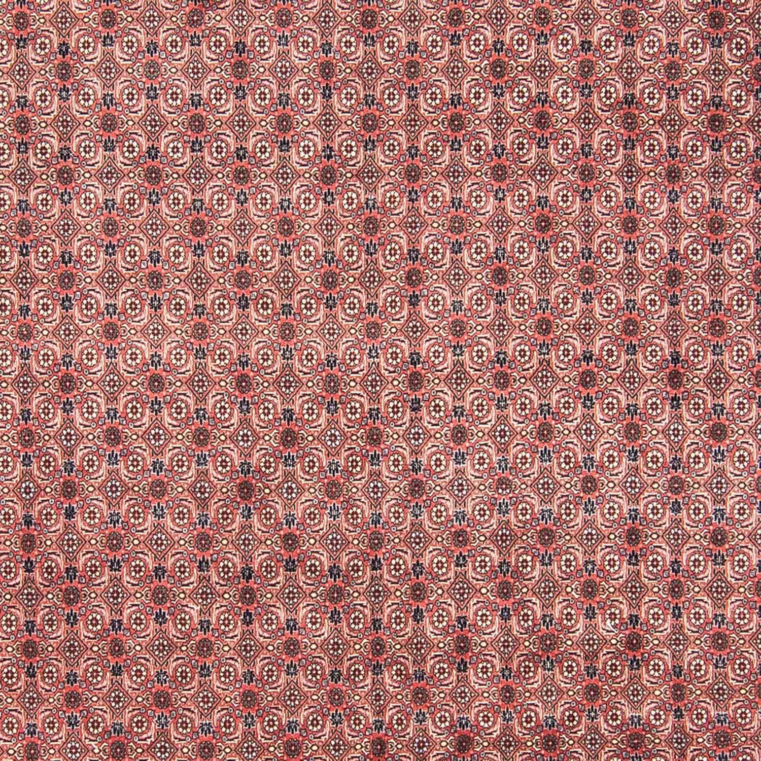 Perserteppich - Bidjar 308 x 254 cm