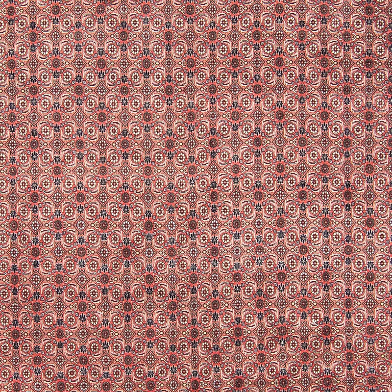 Perserteppich - Bidjar 308 x 254 cm
