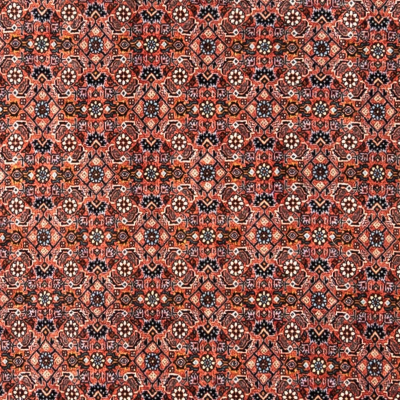 Perserteppich - Bidjar - Royal 288 x 206 cm