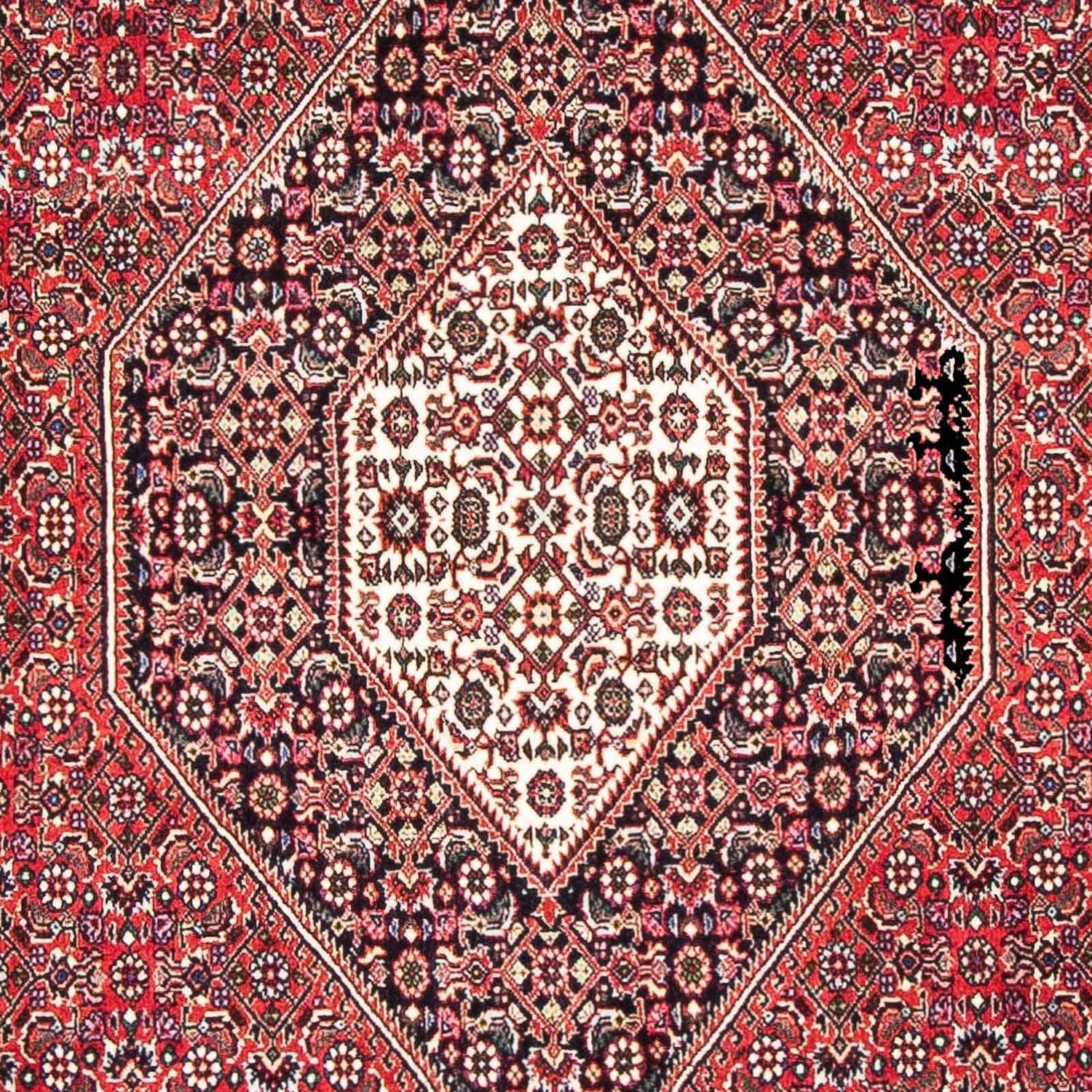 Perserteppich - Bidjar - Royal 185 x 110 cm