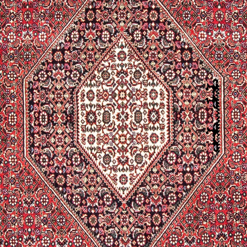 Perserteppich - Bidjar - Royal 185 x 110 cm