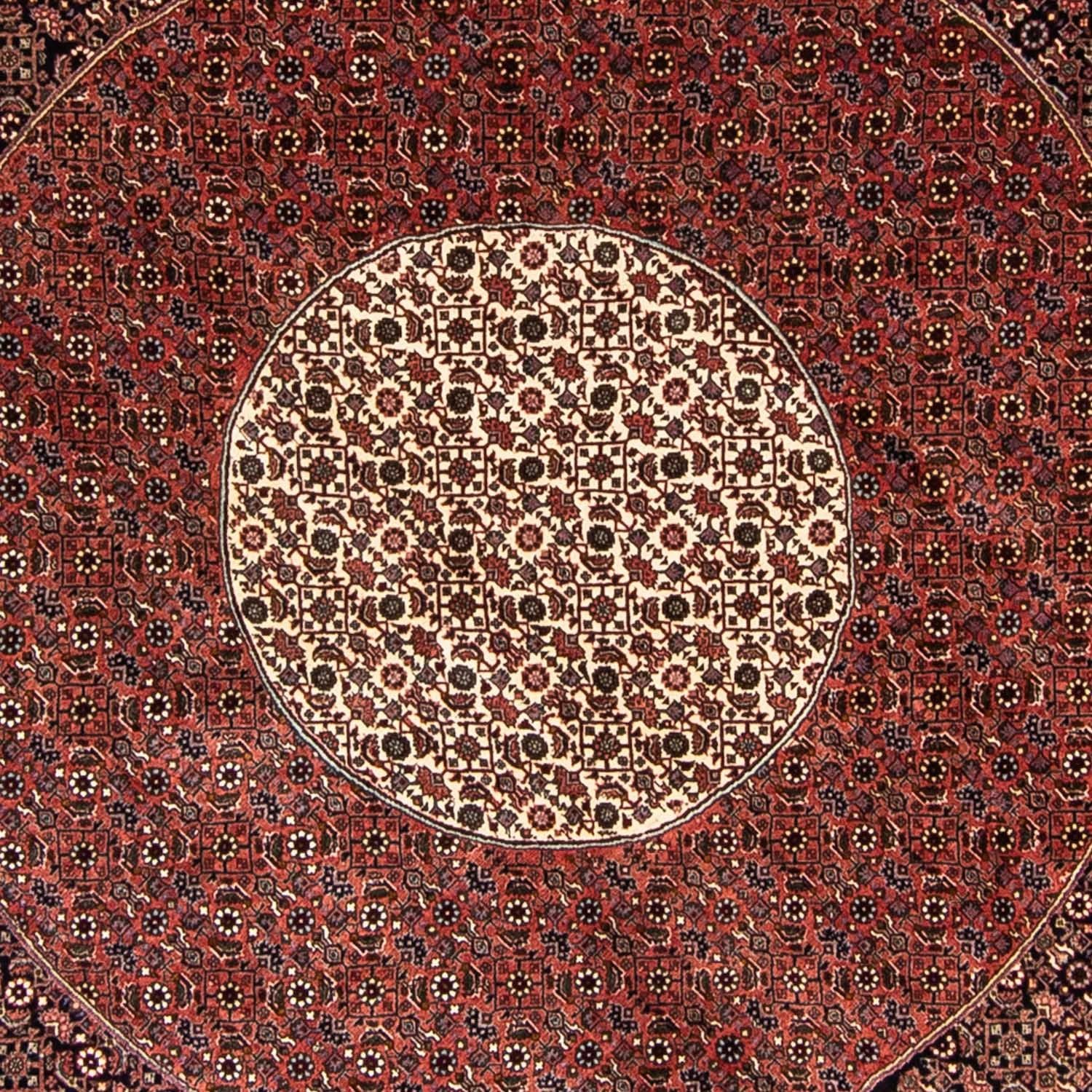 Perserteppich - Bidjar 260 x 260 cm