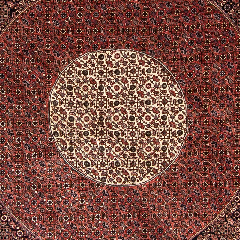 Perserteppich - Bidjar 260 x 260 cm