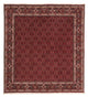 Perserteppich - Bidjar 212 x 206 cm