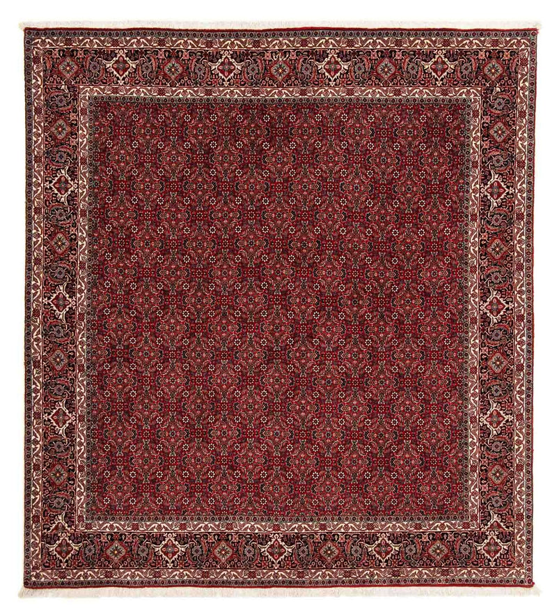 Perserteppich - Bidjar 212 x 206 cm