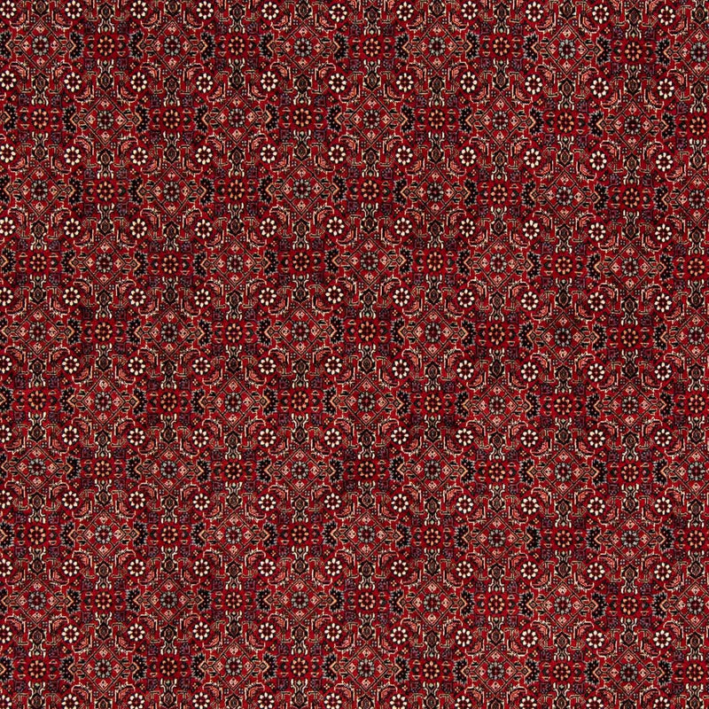 Perserteppich - Bidjar 212 x 206 cm