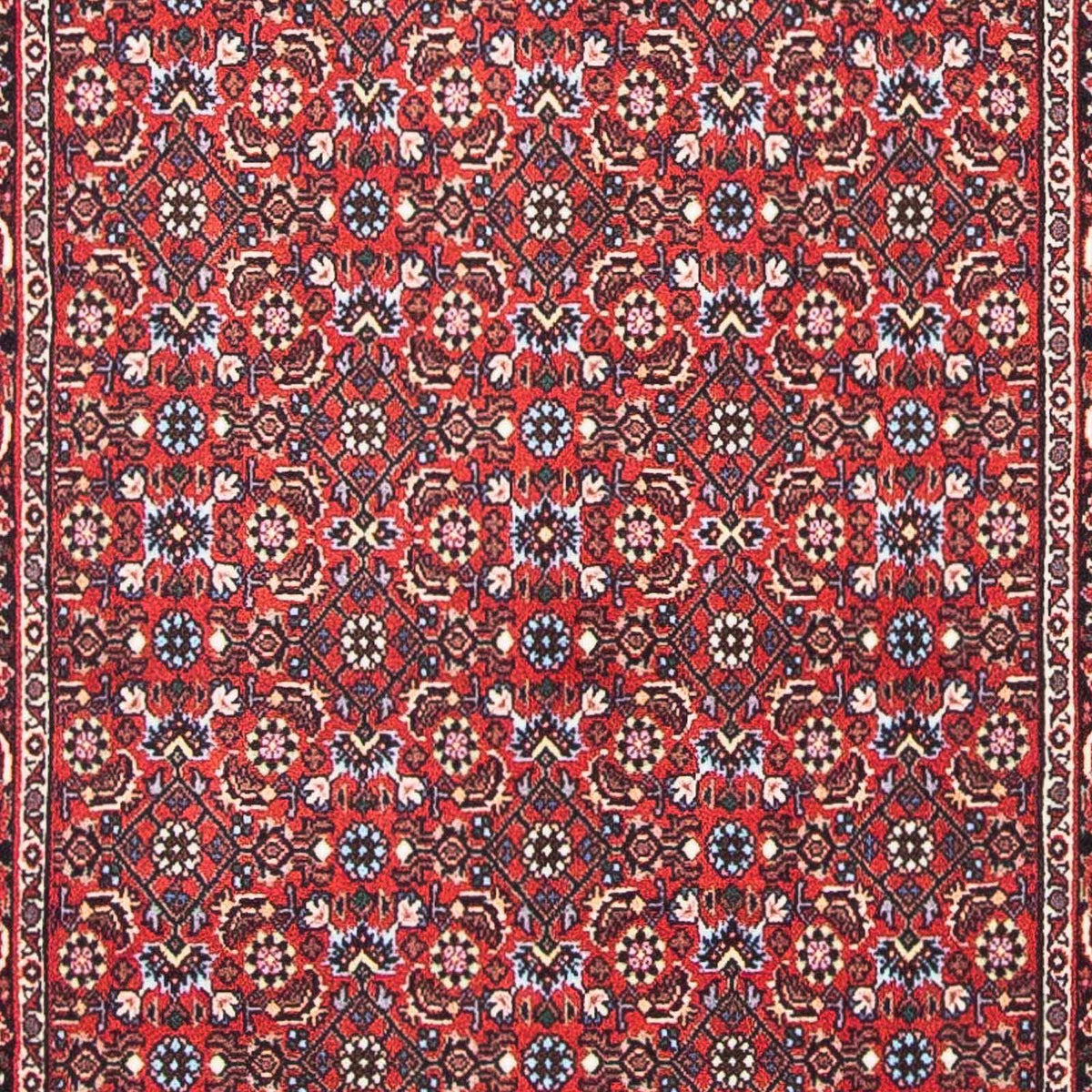 Perserteppich - Bidjar - Royal 139 x 70 cm - rot