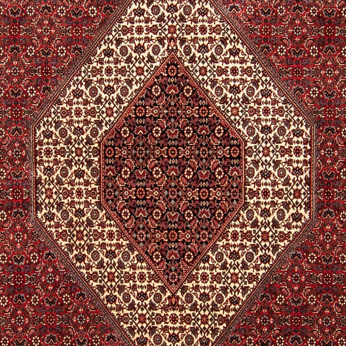 Perserteppich - Bidjar 304 x 251 cm