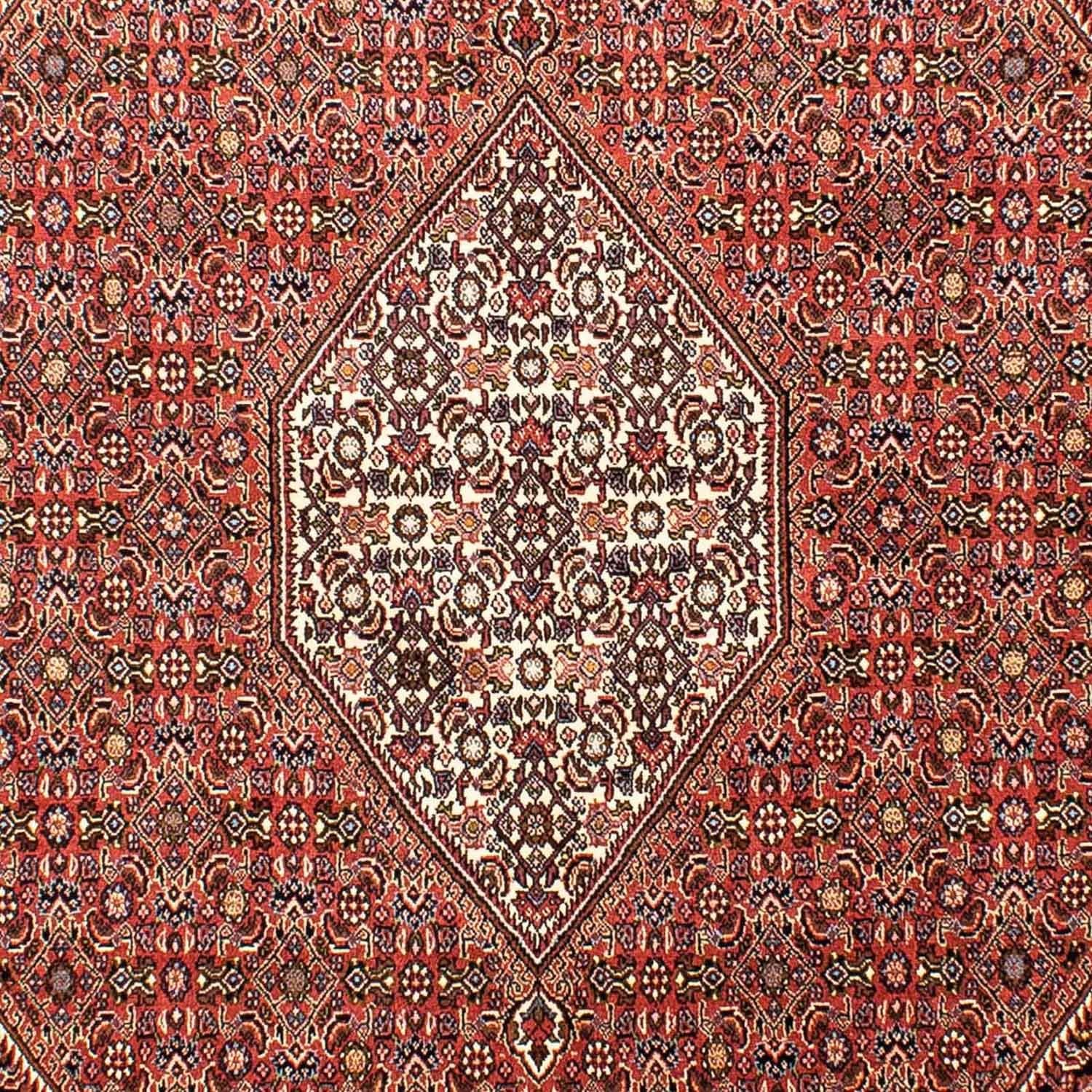 Perserteppich - Bidjar 268 x 165 cm