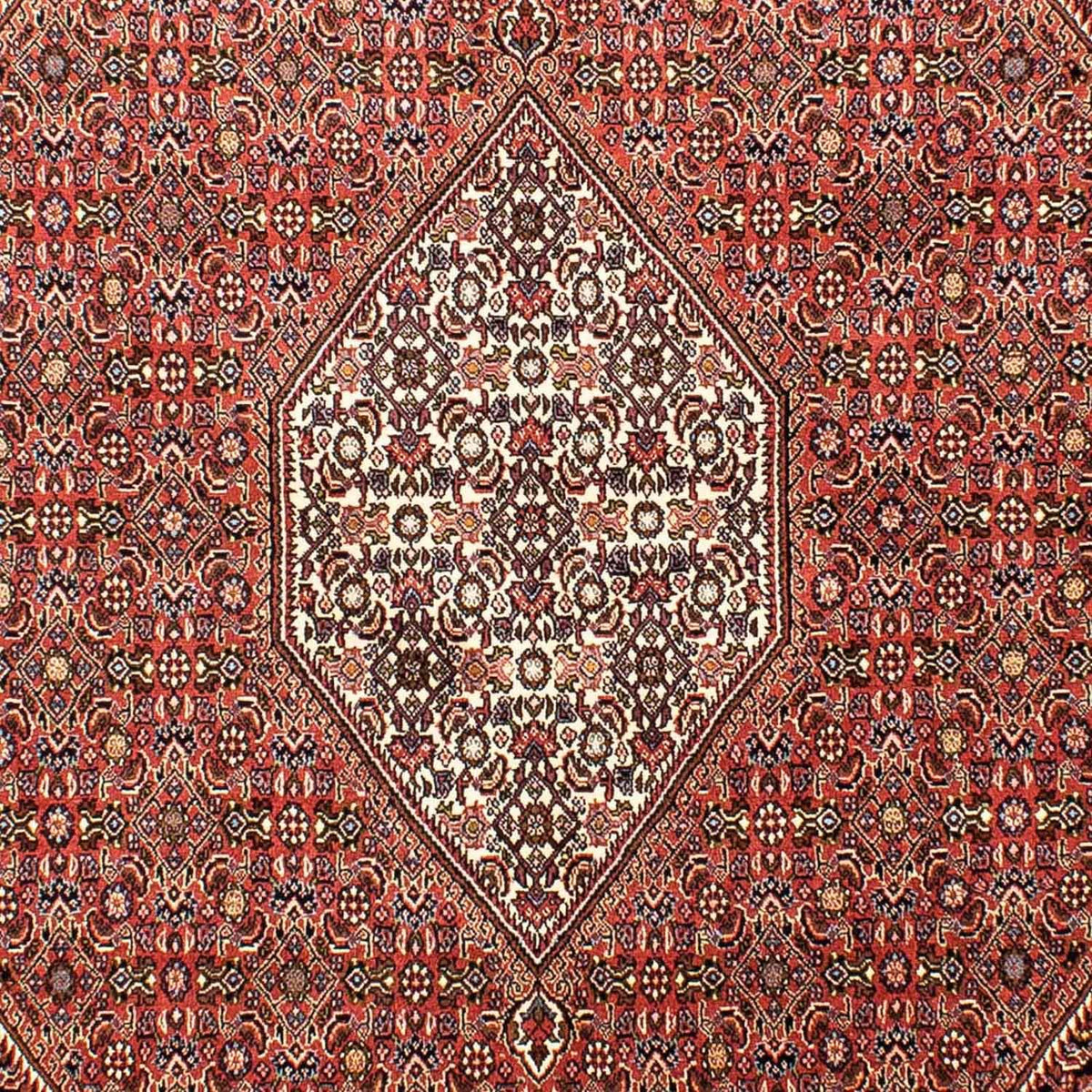 Perserteppich - Bidjar 268 x 165 cm