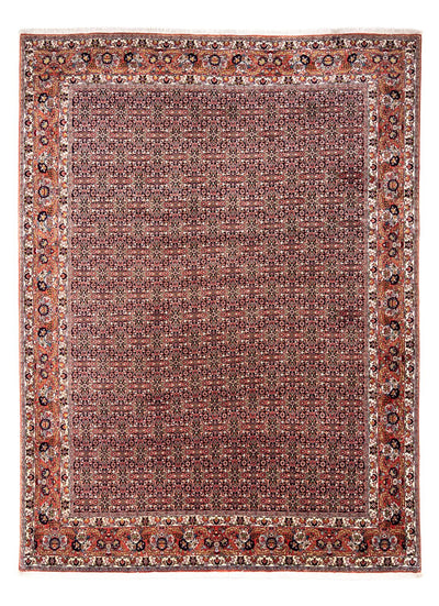 Perserteppich - Bidjar - Royal 248 x 332 cm - rost