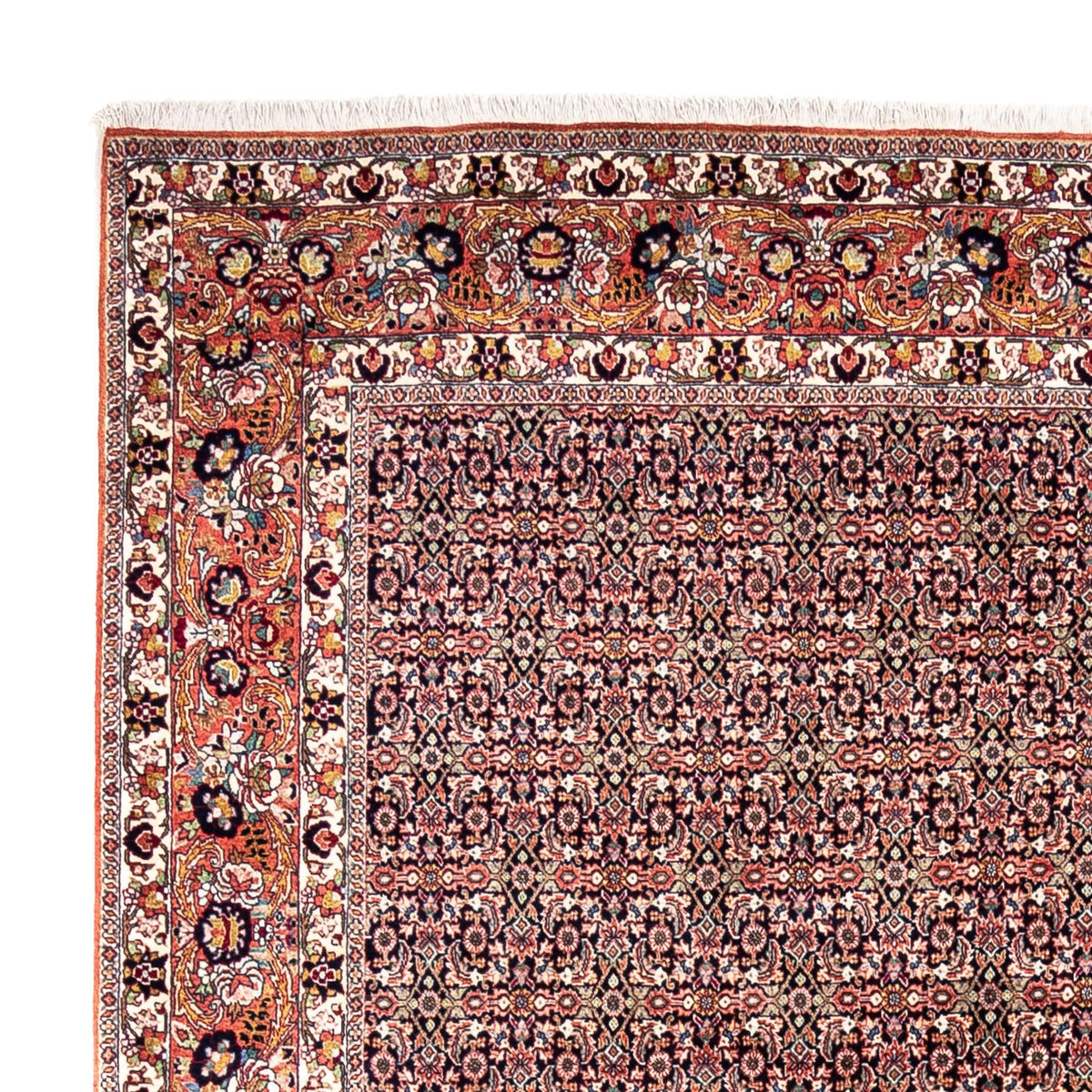 Perserteppich - Bidjar - Royal 332 x 248 cm - rost
