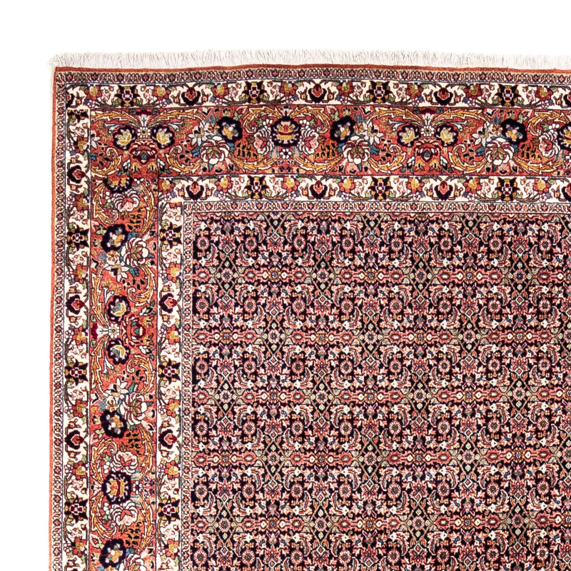 Perserteppich - Bidjar - Royal 332 x 248 cm - rost