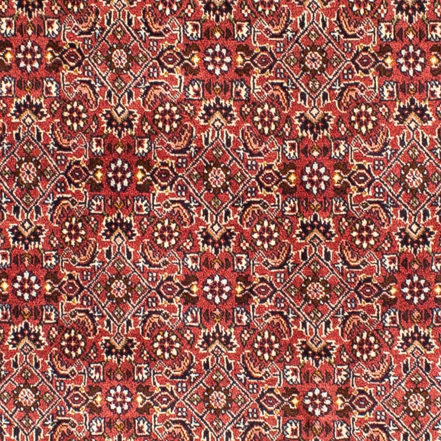 Perserteppich - Bidjar 197 x 190 cm