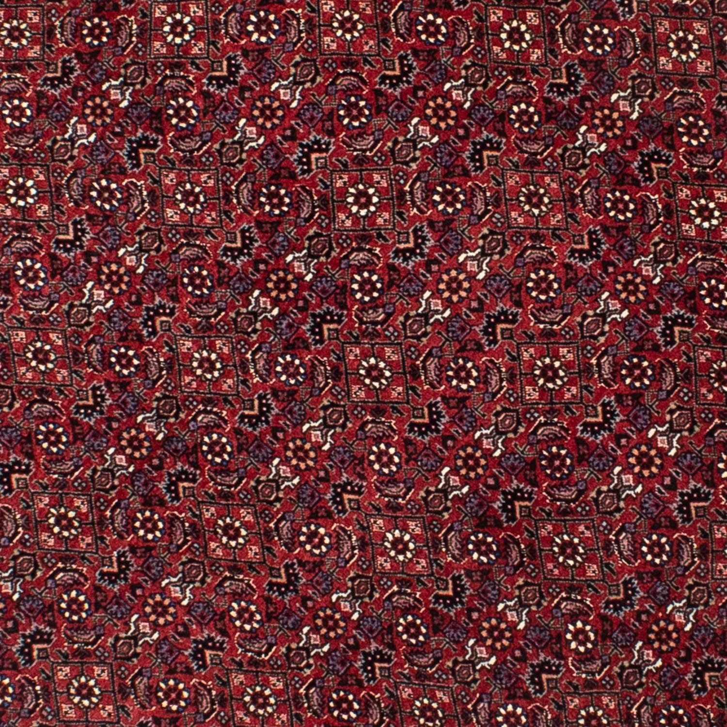 Perserteppich - Bidjar 150 x 150 cm Runder Teppich