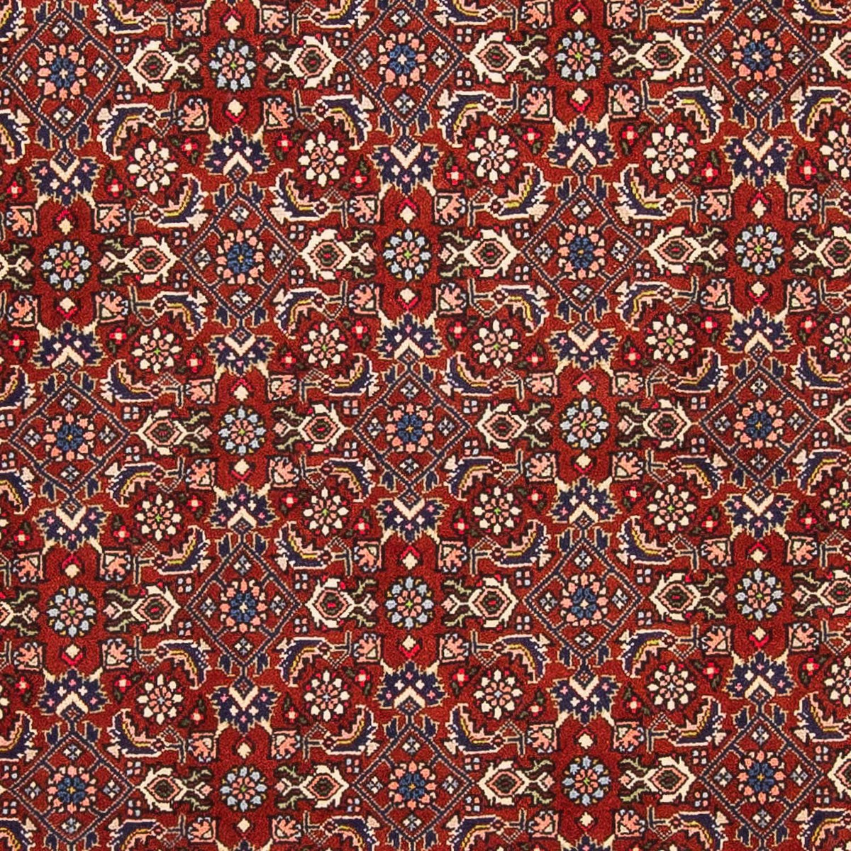 Perserteppich - Bidjar - Royal 160 x 108 cm - dunkelrot