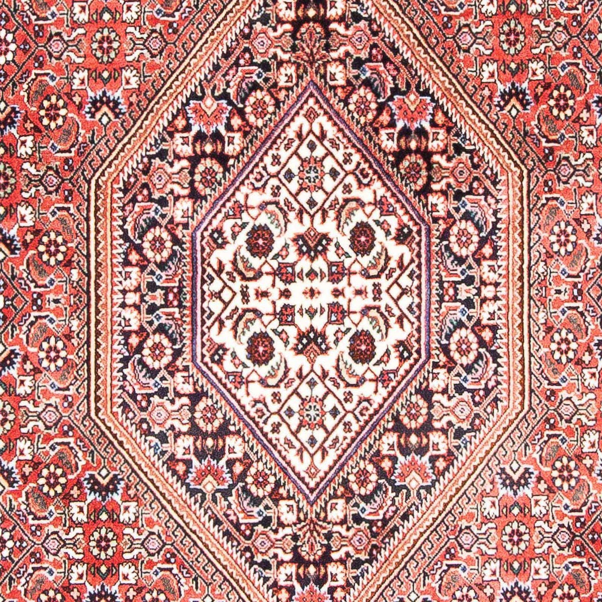 Perserteppich - Bidjar - Royal 180 x 108 cm - hellrot