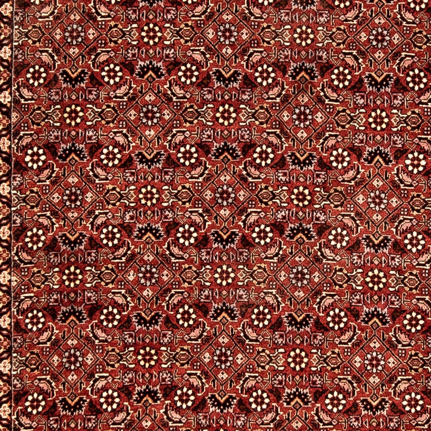 Perserteppich - Bidjar 298 x 82 cm