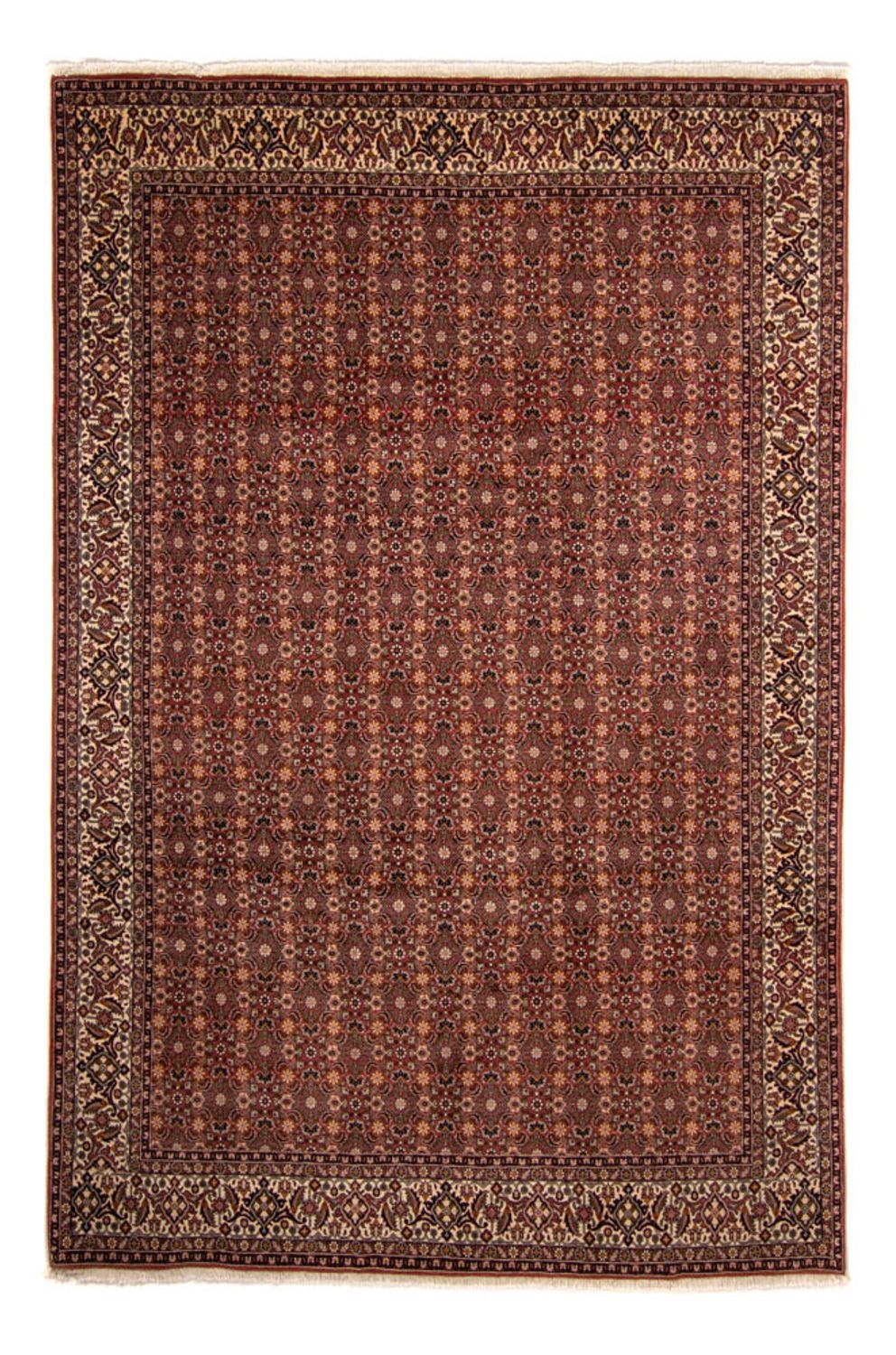 Perserteppich - Bidjar 352 x 252 cm