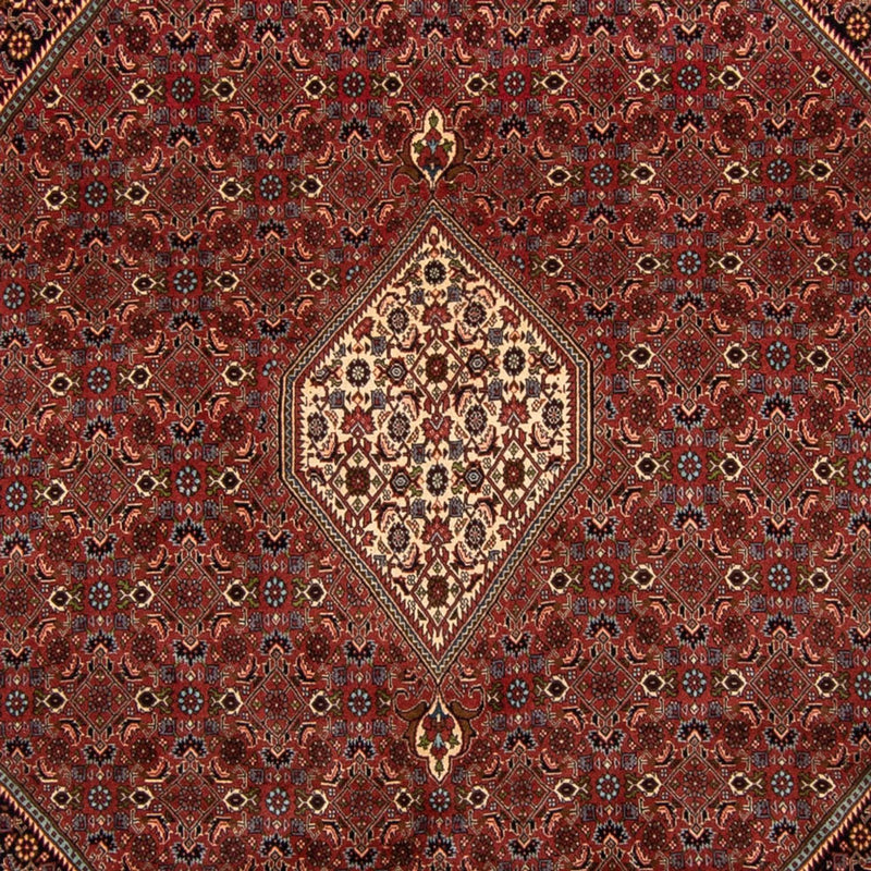Perserteppich - Bidjar 329 x 255 cm