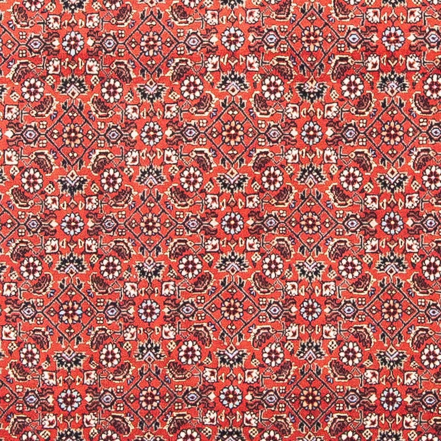Perserteppich - Bidjar - Royal 97 x 95 cm Quadratischer Teppich
