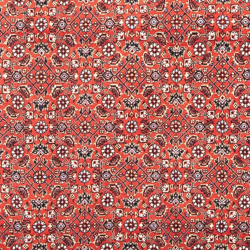 Perserteppich - Bidjar - Royal 97 x 95 cm Quadratischer Teppich