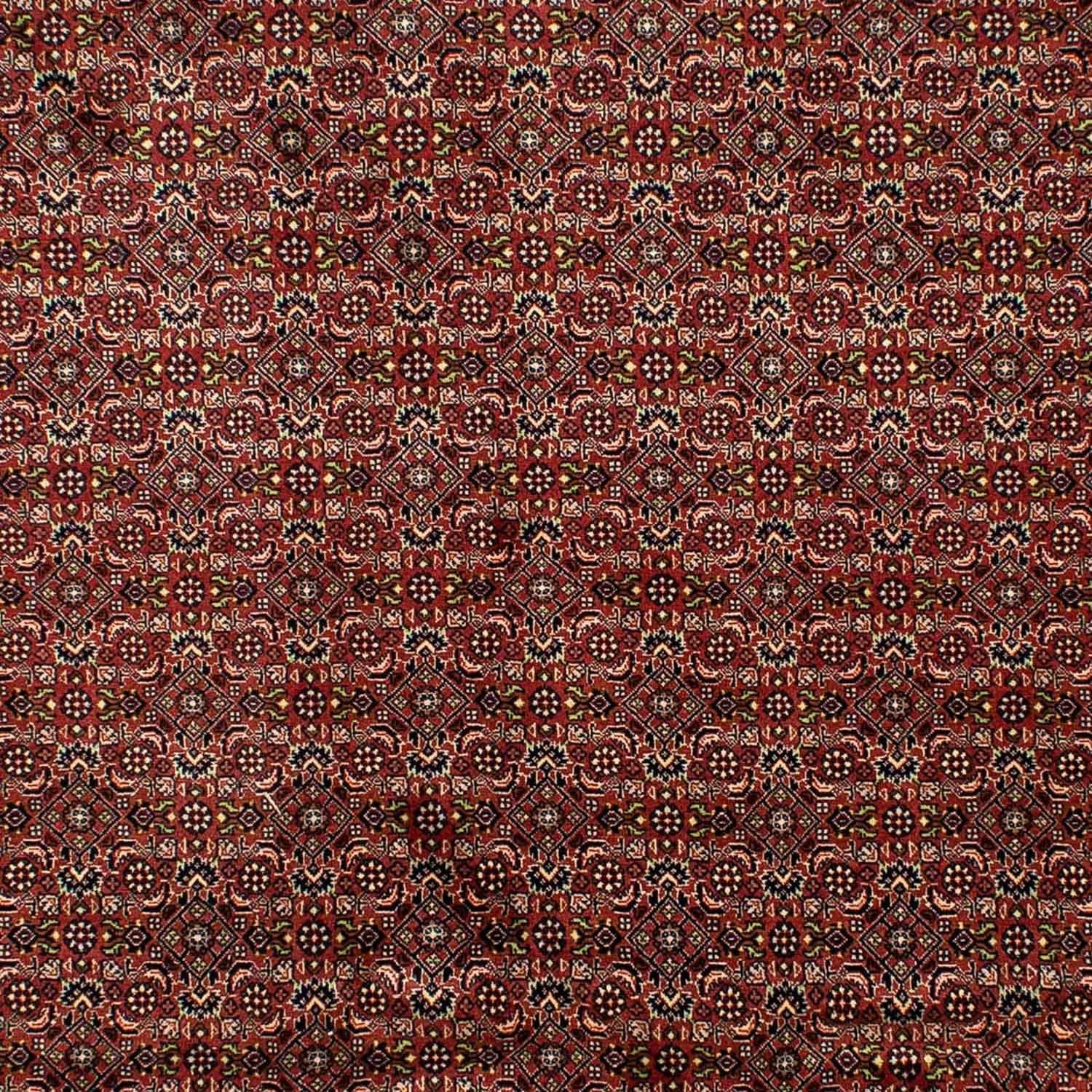 Perserteppich - Bidjar 298 x 202 cm - braun