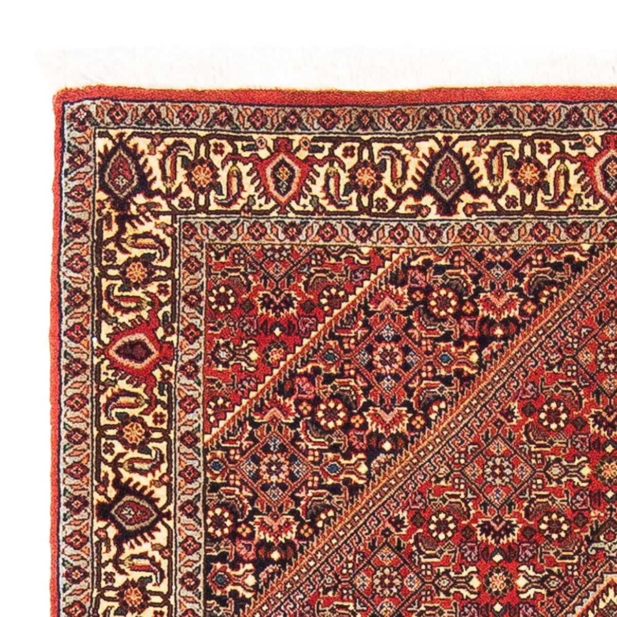 Perserteppich - Bidjar - Royal 153 x 89 cm