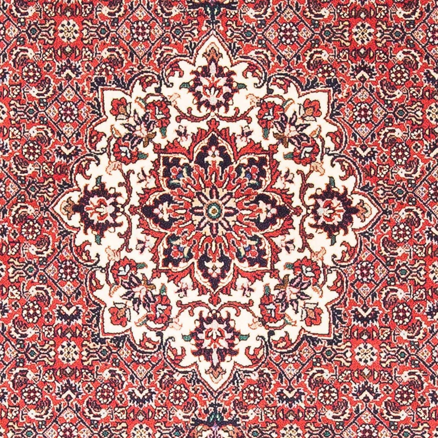 Perserteppich - Bidjar - Royal 148 x 91 cm Teppichbrücke