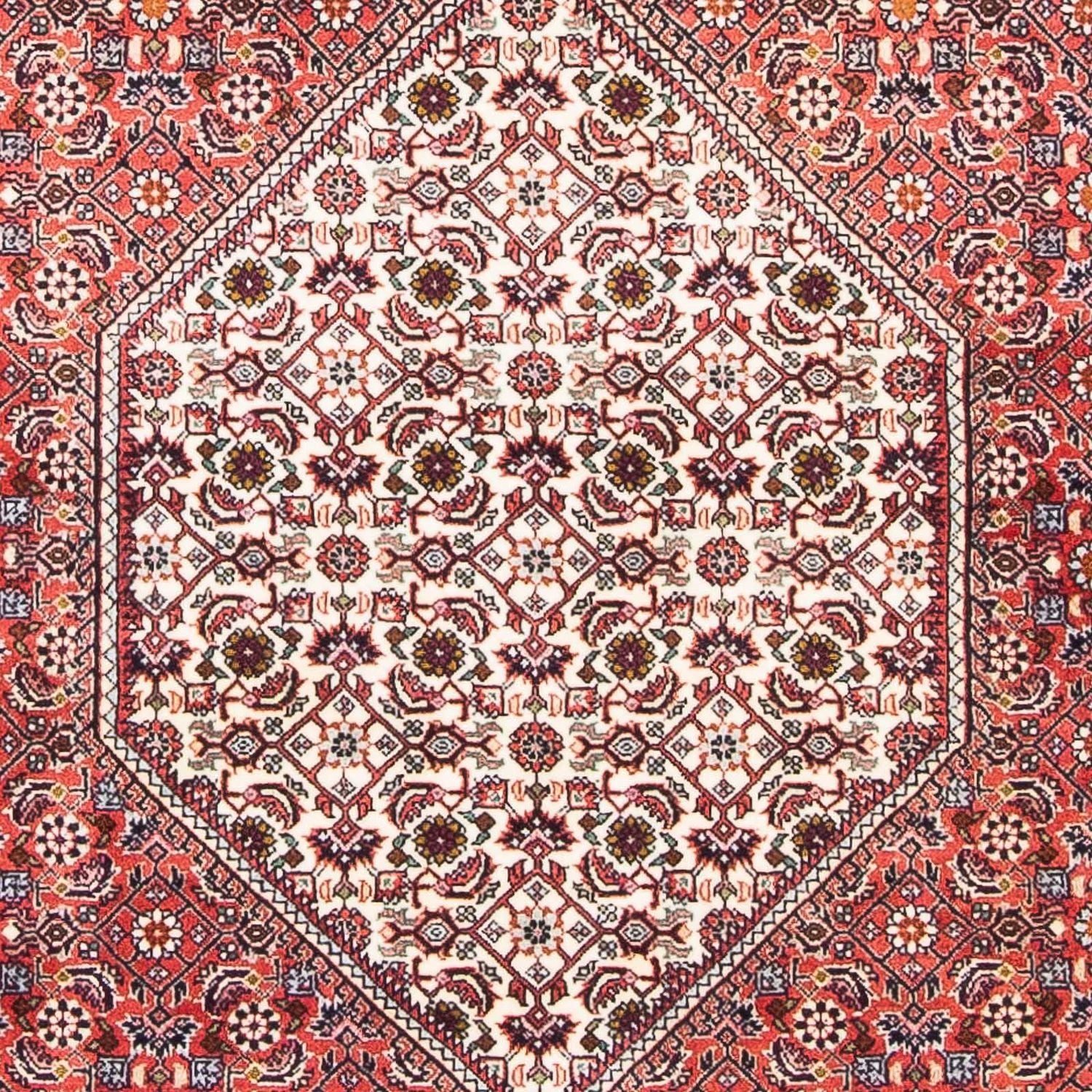 Perserteppich - Bidjar - Royal 174 x 108 cm - hellrot