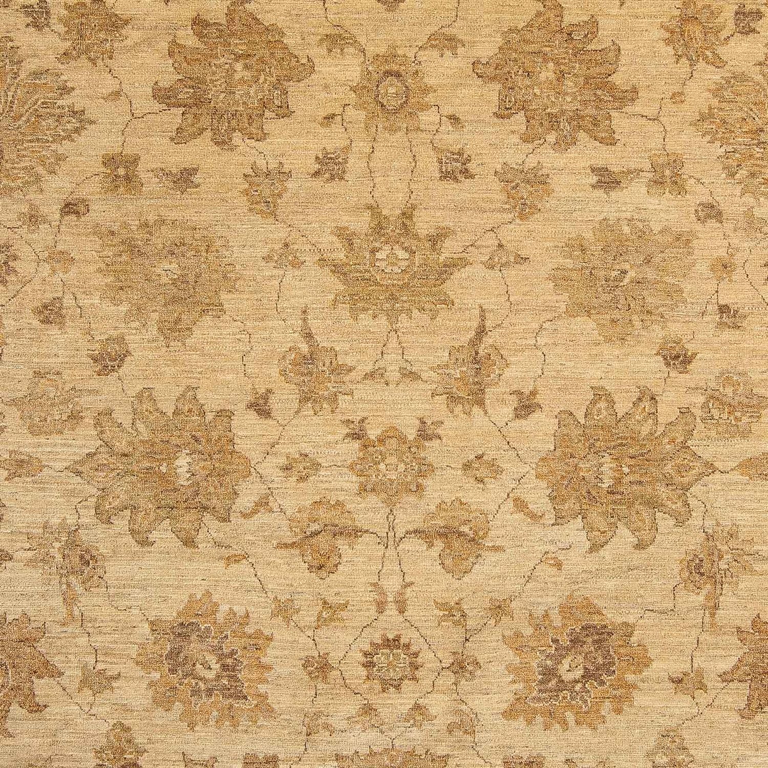 Ziegler Teppich 317 x 236 cm