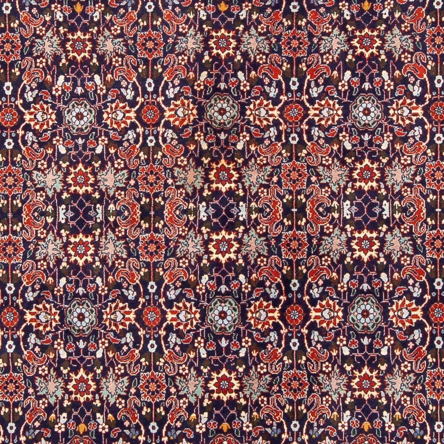 Perserteppich - Bidjar 247 x 163 cm