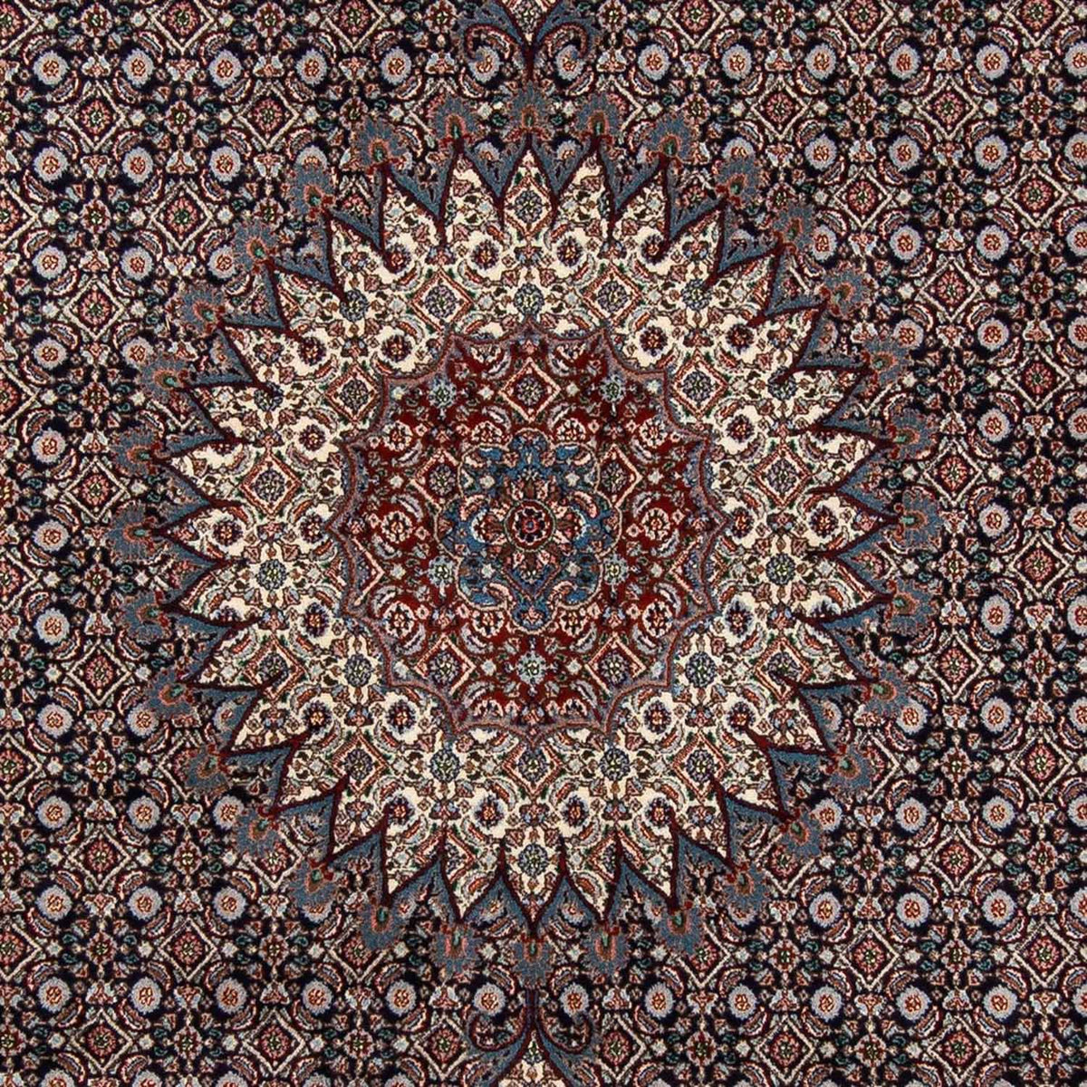 Perserteppich - Classic 298 x 198 cm - dunkelblau
