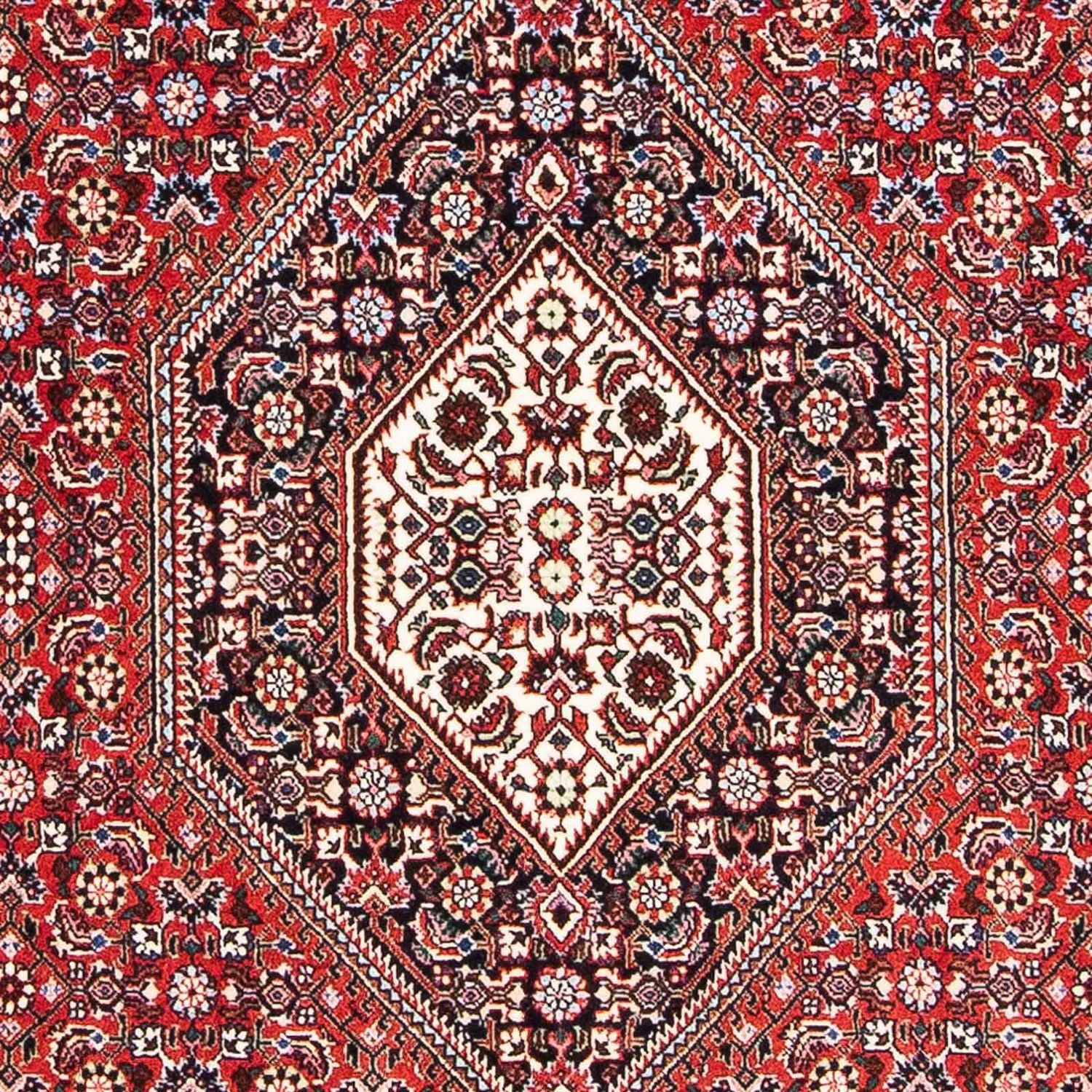 Perserteppich - Bidjar - Royal 173 x 111 cm - hellrot
