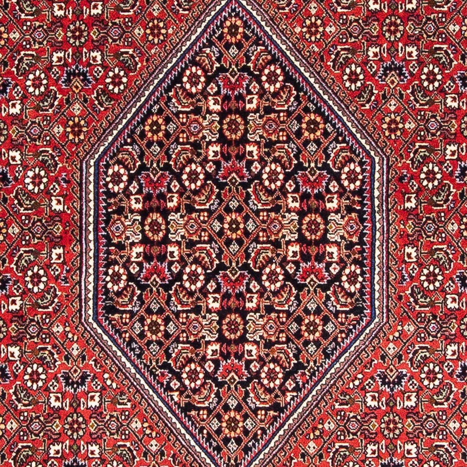 Perserteppich - Bidjar - Royal 183 x 110 cm