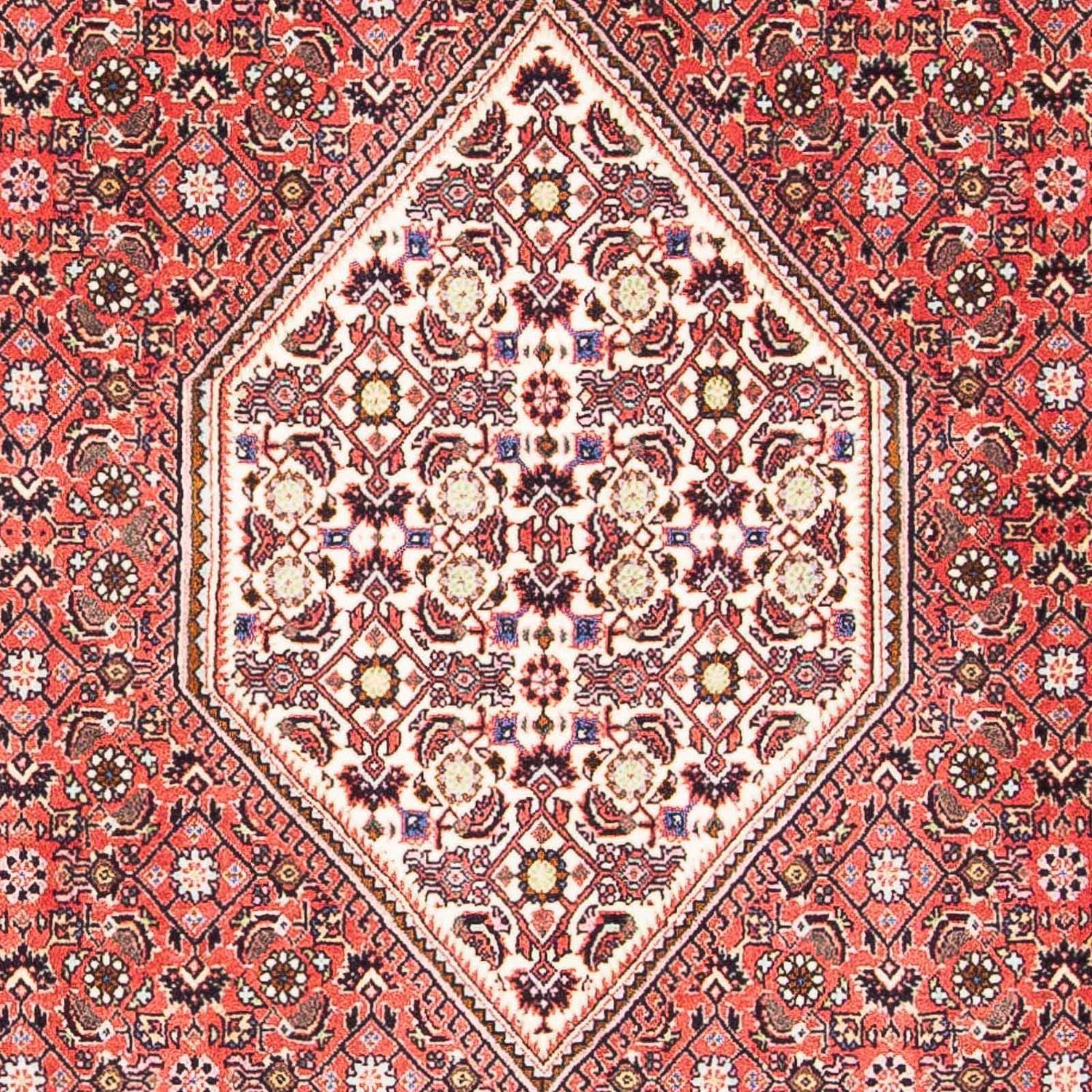 Perserteppich - Bidjar - Royal 179 x 108 cm