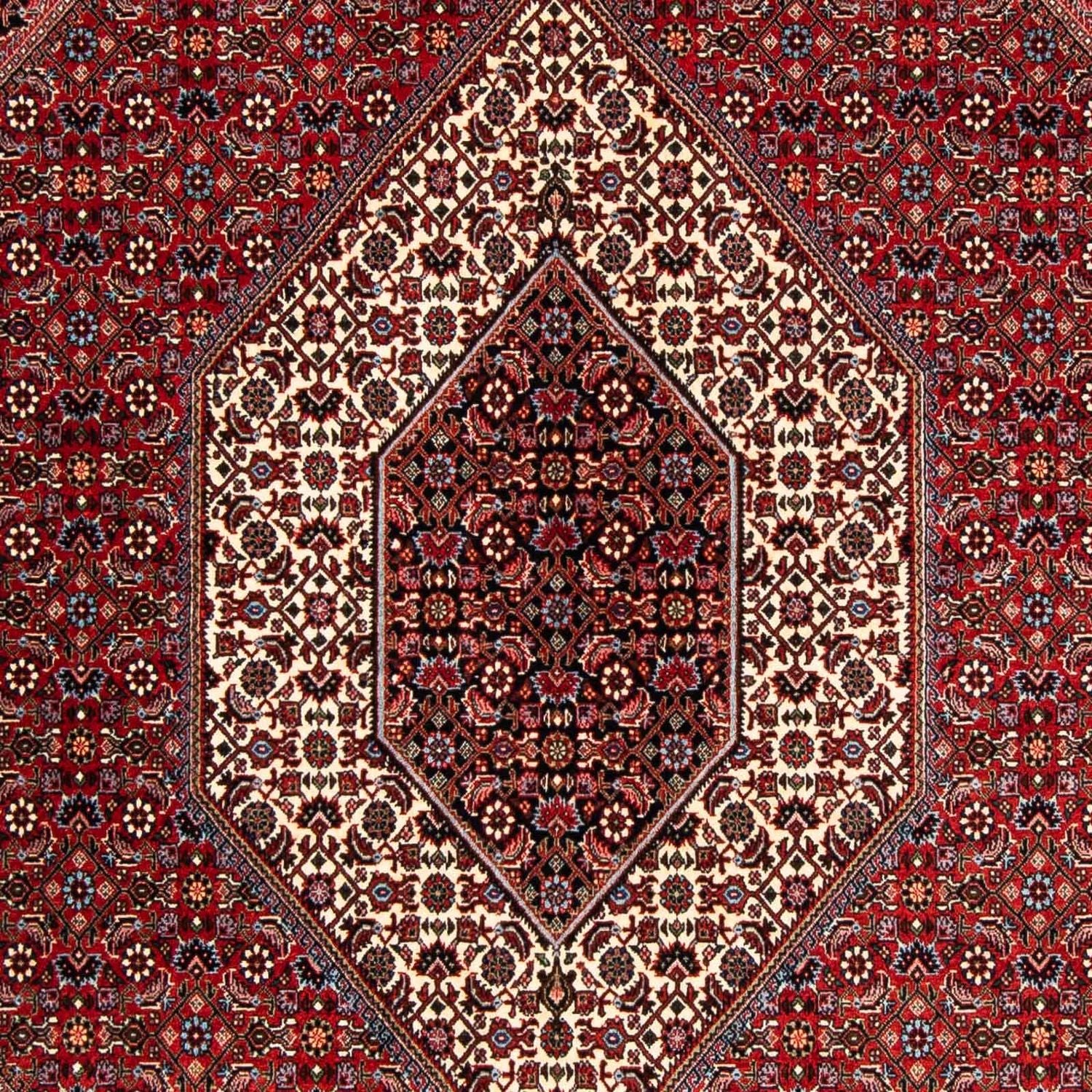 Perserteppich - Bidjar 252 x 170 cm