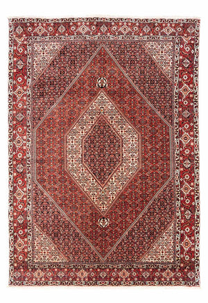 Perserteppich - Bidjar - Royal 285 x 195 cm