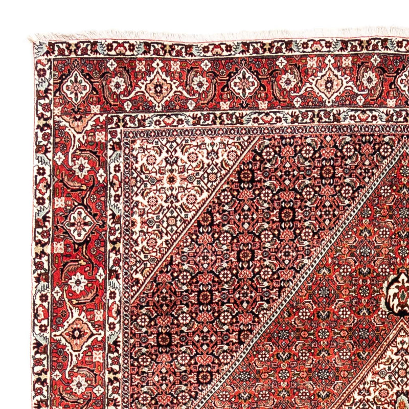 Perserteppich - Bidjar - Royal 285 x 195 cm