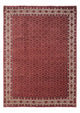 Perserteppich - Bidjar - Royal 340 x 252 cm