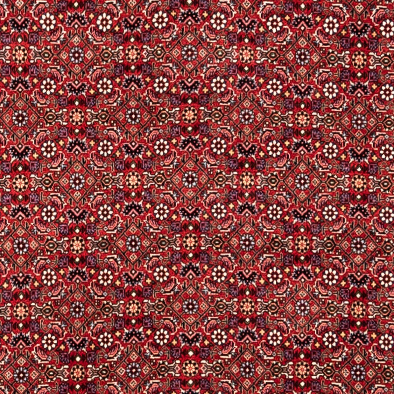 Perserteppich - Bidjar - Royal 340 x 252 cm