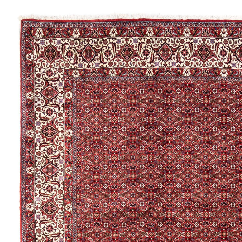 Perserteppich - Bidjar - Royal 340 x 252 cm