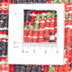 Perserteppich - Nomadic 300 x 212 cm