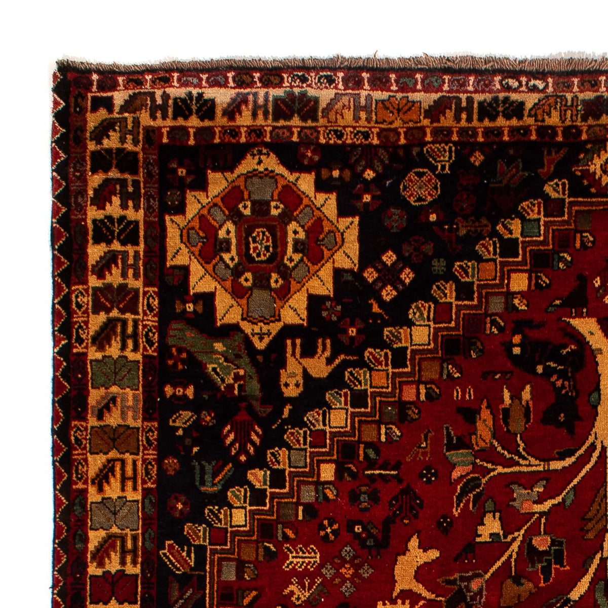 Perserteppich - Nomadic 310 x 201 cm