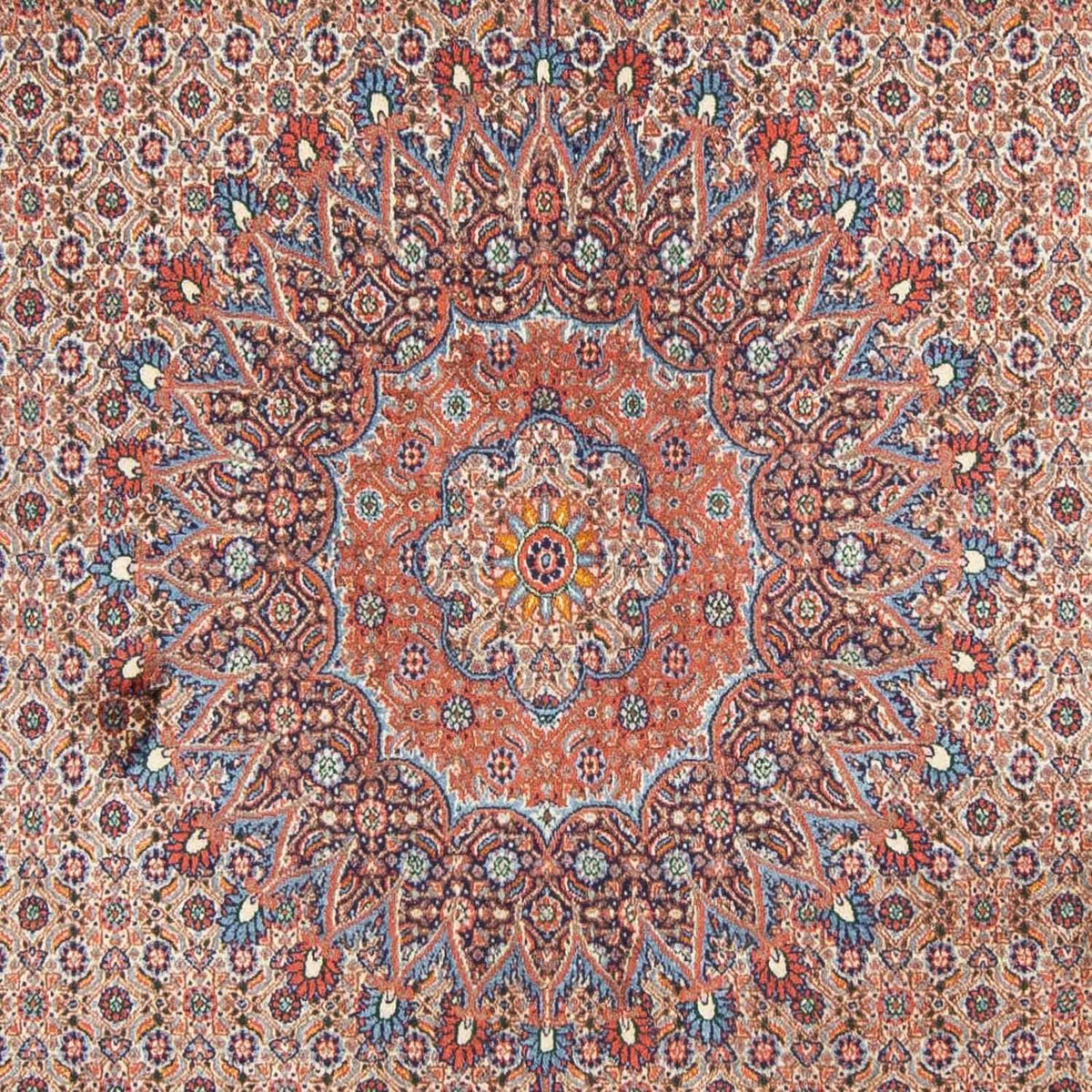 Perserteppich - Classic 293 x 198 cm - hellrot
