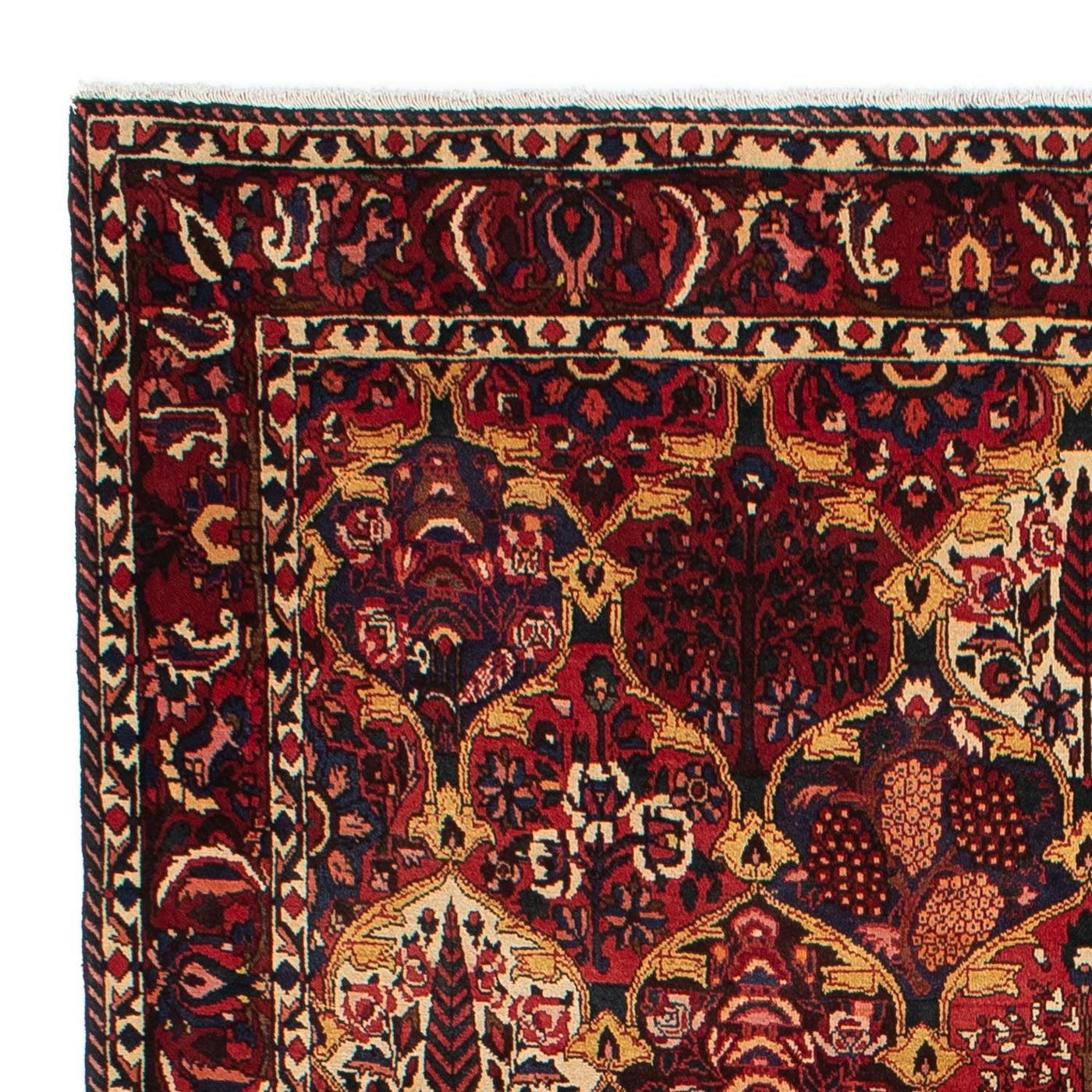 Bachtiar Teppich 305x211cm - Perserteppich