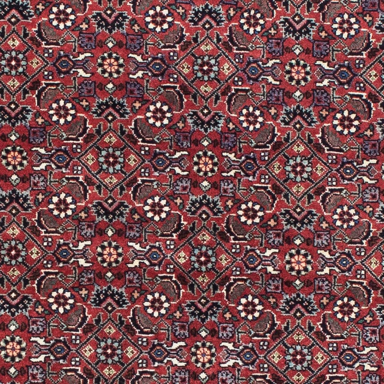 Perserteppich - Bidjar - Royal 193 x 176 cm