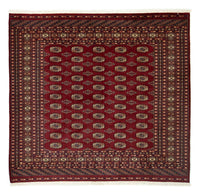 Afghan Teppich - Buchara 205 x 193 cm